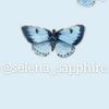 🦋