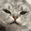 jjjulianarioss