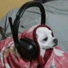 steppygaming