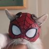 cat_spiderrr