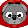 kooperkoala