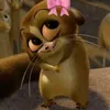 alabellaboo