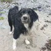 mickymeehan