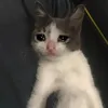 missholidayz