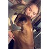 ilysm.emmaa