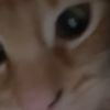 idkwhothisisrnlol