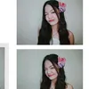 csandra_ssy