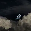 orgz_
