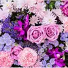 seher_ffm