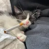 meowina.pl
