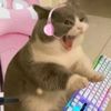 rikosa233