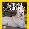 dogwithtoomuchblog