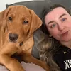 abiandeevee