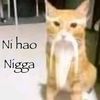 flako__3