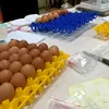 bismillahmenujumakkah