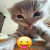 virid11an