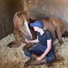 that_one.equestrian
