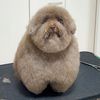topfurboss