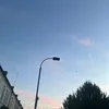 vibesofnaomi