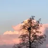 ambiiivalence