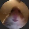 lisa_len97