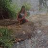 daritachavez