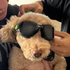 tom.garb