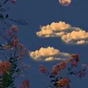 9smmy