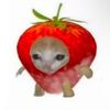 Mir