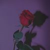 khadija_521