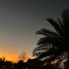 shasha945