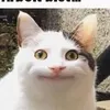 mvxiiz