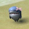 lexytheshark