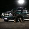 paws.n.pistons