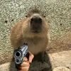 mrmouko3