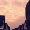 xaxv24