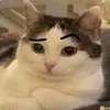 nean_j