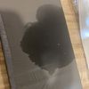 sienna_johnson