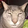 whosmd6