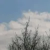 zzzzz66754