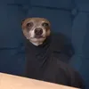 smulpaj00