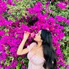 meissahamhoum