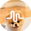 duz_its_braydon