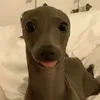 ajoooo___