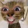 andreign