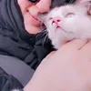 ahlamwahbi