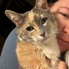 laney_76