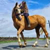 emiliastone1