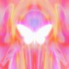 angelicm777