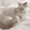 tessa_leo.loki111